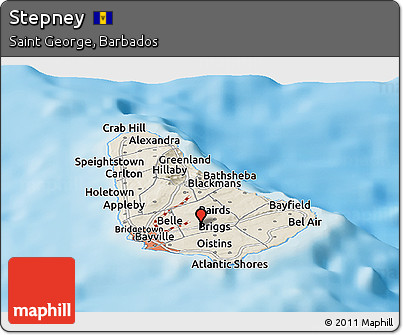 Shaded Relief Panoramic Map of Stepney