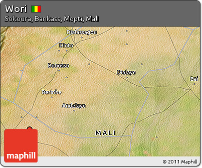 Satellite 3D Map of Wori