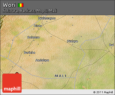 Satellite 3D Map of Wori