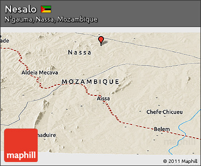 Shaded Relief Panoramic Map of Nesalo