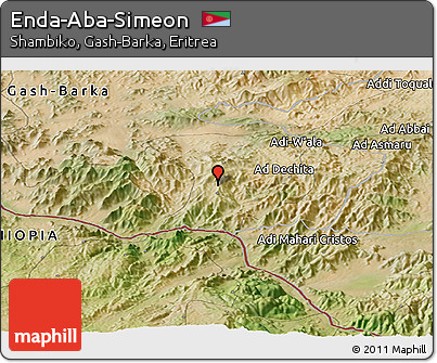 Satellite Panoramic Map of Enda-Aba-Simeon