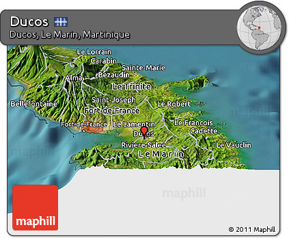 Satellite Panoramic Map of Ducos