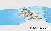 Shaded Relief Panoramic Map of Quartier Rivière Roche