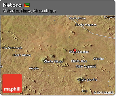 Satellite 3D Map of Netoro