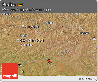 Satellite Panoramic Map of Pedro