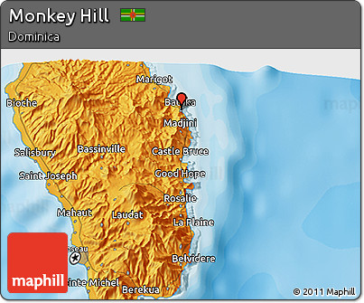 Political 3D Map of Monkey Hill