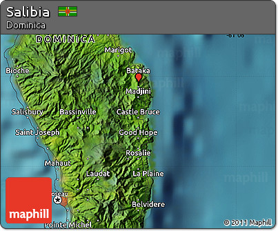 Satellite Map of Salibia