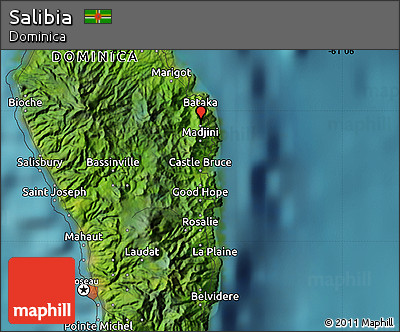 Satellite Map of Salibia