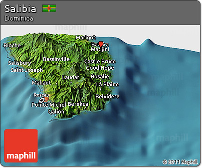 Satellite Panoramic Map of Salibia