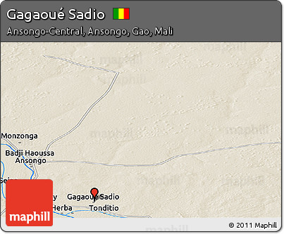 Shaded Relief Panoramic Map of Gagaoué Sadio