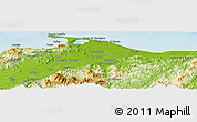 Physical Panoramic Map of El Palmichal
