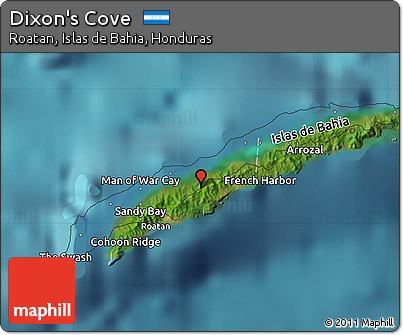 Satellite Map of Dixon's Cove