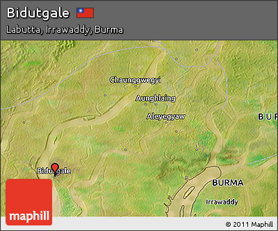 Satellite 3D Map of Bidutgale