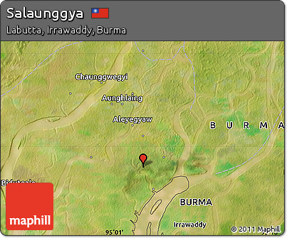 Satellite Map of Salaunggya
