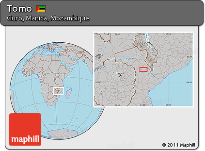 Gray Location Map of Tomo