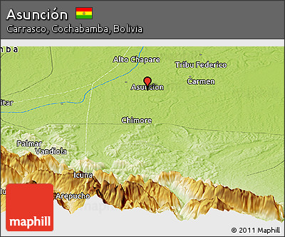 Physical Panoramic Map of Asunción