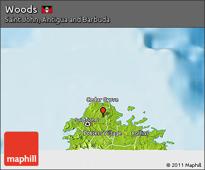 Physical 3D Map of Woods