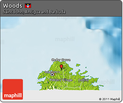 Physical 3D Map of Woods