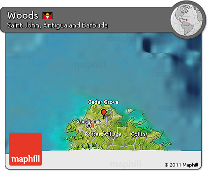 Satellite 3D Map of Woods