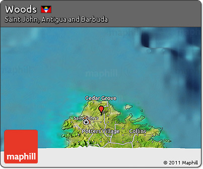 Satellite 3D Map of Woods