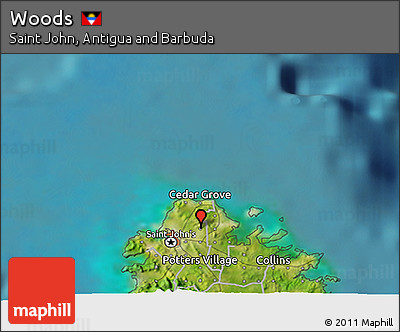 Satellite 3D Map of Woods