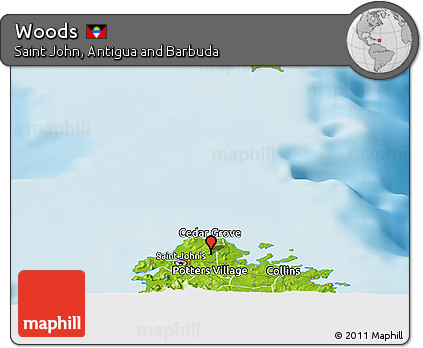 Physical Panoramic Map of Woods