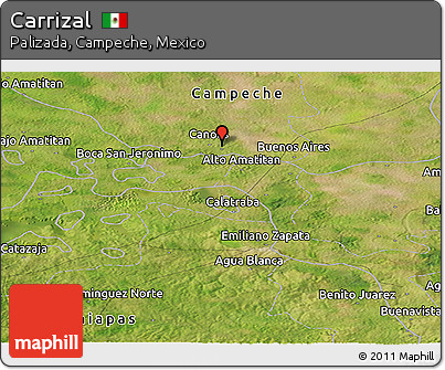 Satellite Panoramic Map of Carrizal
