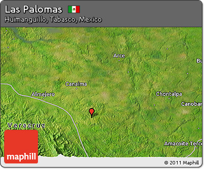 Satellite 3D Map of Las Palomas