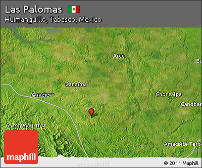 Satellite 3D Map of Las Palomas