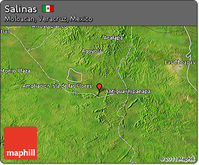 Satellite 3D Map of Salinas