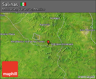 Satellite 3D Map of Salinas