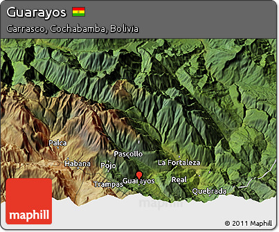 Satellite 3D Map of Guarayos