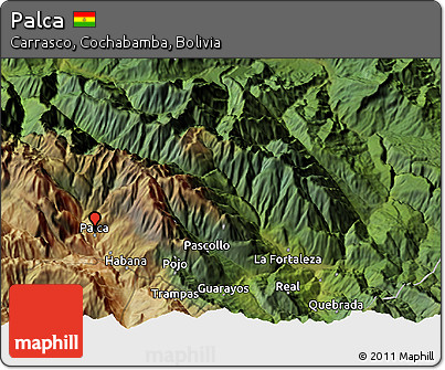 Satellite 3D Map of Palca