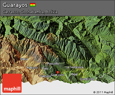 Satellite 3D Map of Guarayos