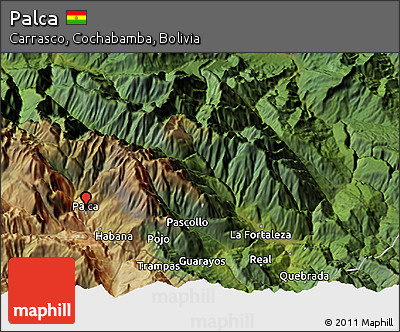 Satellite 3D Map of Palca