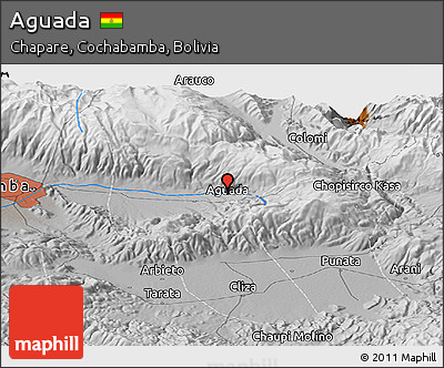 Physical Panoramic Map of Aguada