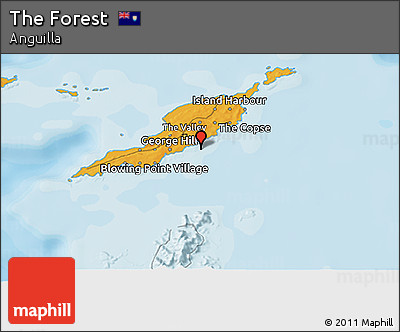 Political 3D Map of the Forest