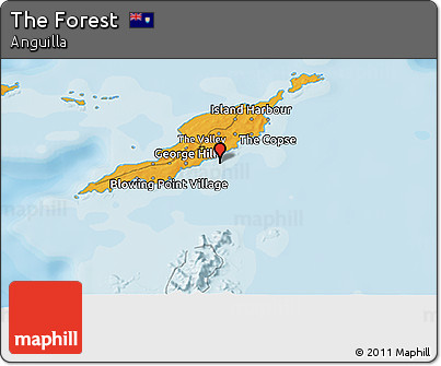 Political 3D Map of the Forest