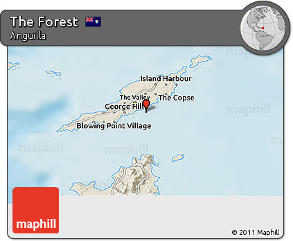 Shaded Relief 3D Map of the Forest