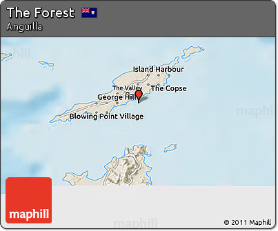 Shaded Relief 3D Map of the Forest