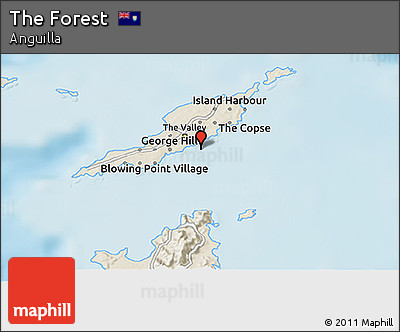 Shaded Relief 3D Map of the Forest