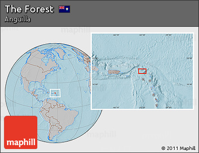 Gray Location Map of the Forest, hill shading
