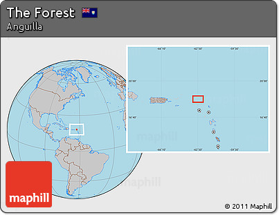 Gray Location Map of the Forest