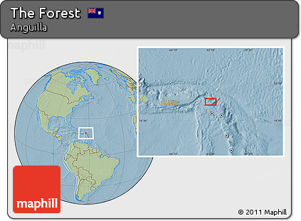Savanna Style Location Map of the Forest, hill shading