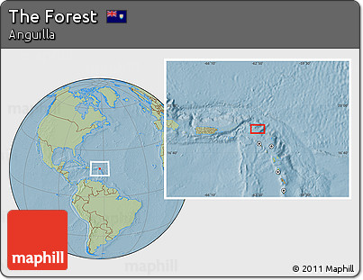 Savanna Style Location Map of the Forest, hill shading