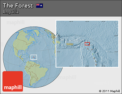 Savanna Style Location Map of the Forest, hill shading