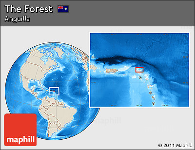 Shaded Relief Location Map of the Forest