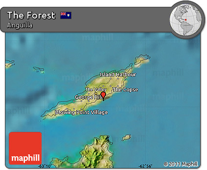 Satellite Map of the Forest