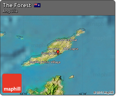 Satellite Map of the Forest