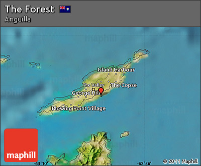 Satellite Map of the Forest